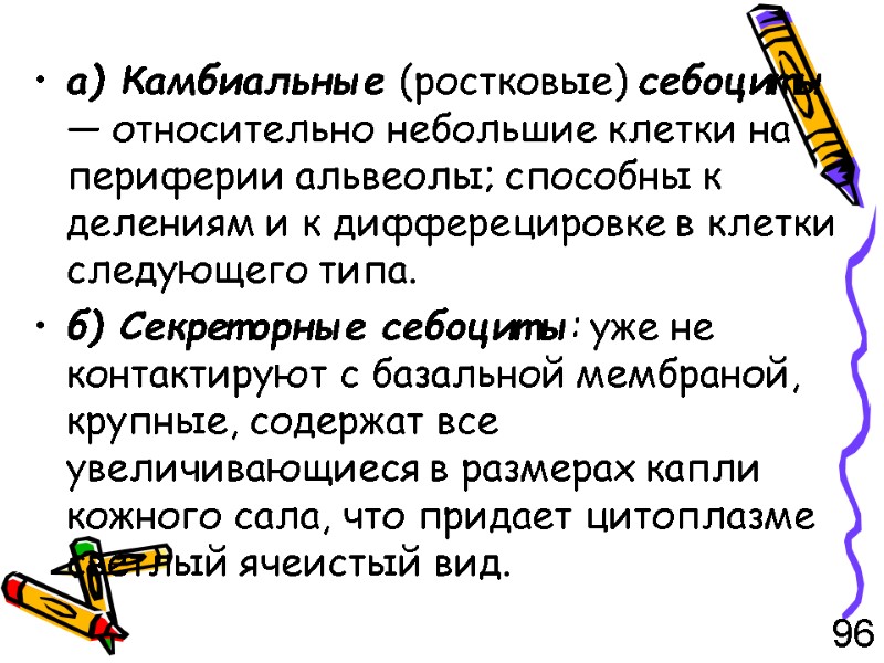 а) Камбиальные (ростковые) себоциты — относительно небольшие клетки на периферии альвеолы; способны к делениям